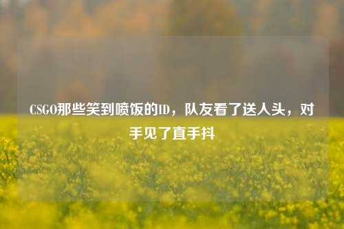 CSGO那些笑到喷饭的ID，队友看了送人头，对手见了直手抖