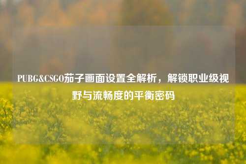 PUBG&CSGO茄子画面设置全解析，解锁职业级视野与流畅度的平衡密码