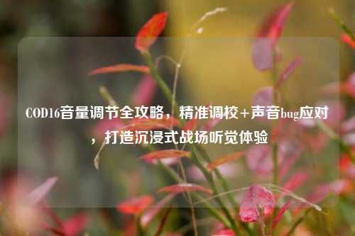 COD16音量调节全攻略，精准调校+声音bug应对，打造沉浸式战场听觉体验