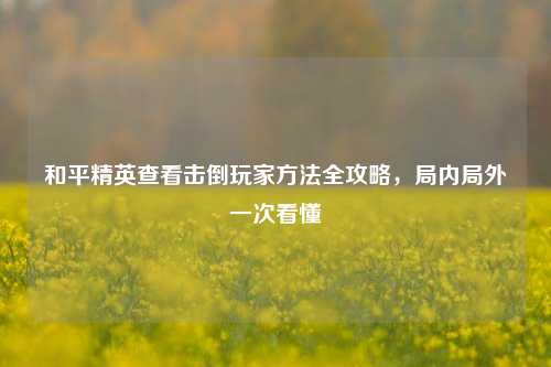 和平精英查看击倒玩家方法全攻略，局内局外一次看懂