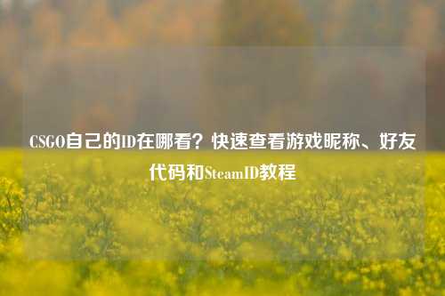 CSGO自己的ID在哪看？快速查看游戏昵称、好友代码和SteamID教程
