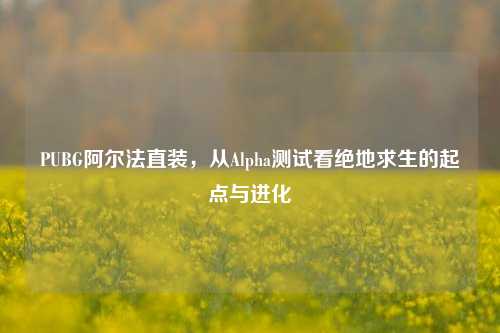 PUBG阿尔法直装,从Alpha测试看绝地求生的起点与进化
