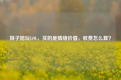 妹子陪玩LOL，买的是情绪价值，收费怎么算？