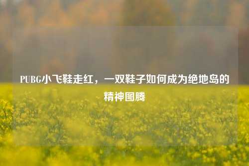 PUBG小飞鞋走红，一双鞋子如何成为绝地岛的精神图腾