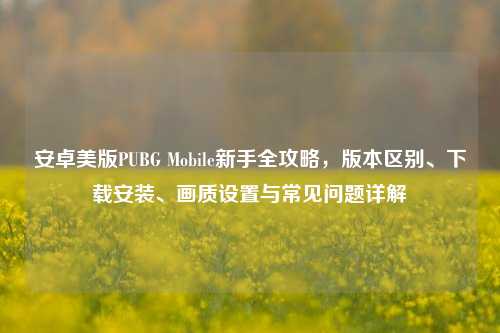 安卓美版PUBG Mobile新手全攻略,版本区别、下载安装、画质设置与常见问题详解