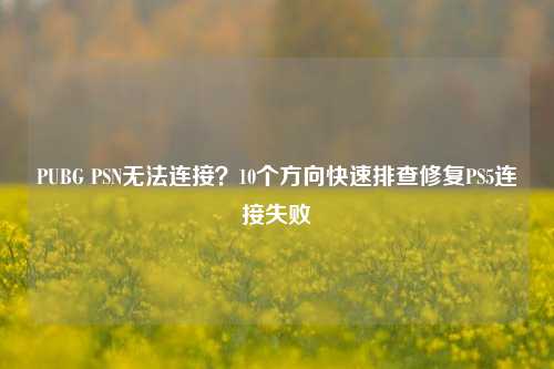 PUBG PSN无法连接?10个方向快速排查修复PS5连接失败