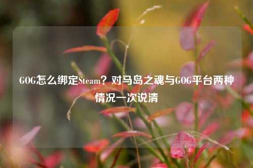 GOG怎么绑定Steam？对马岛之魂与GOG平台两种情况一次说清