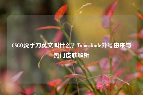 CSGO烫手刀英文叫什么？Talon Knife外号由来与热门皮肤解析