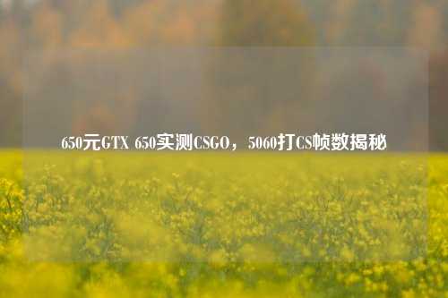 650元GTX 650实测CSGO，5060打CS帧数揭秘