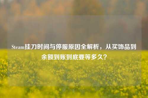 Steam挂刀时间与停服原因全解析,从买饰品到余额到账到底要等多久?