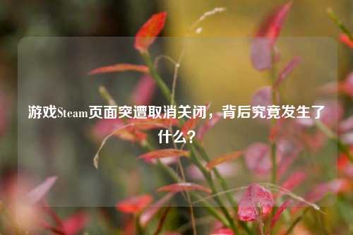 游戏Steam页面突遭取消关闭，背后究竟发生了什么？
