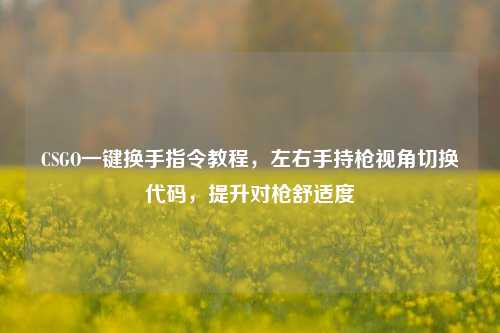 CSGO一键换手指令教程,左右手持枪视角切换代码,提升对枪舒适度