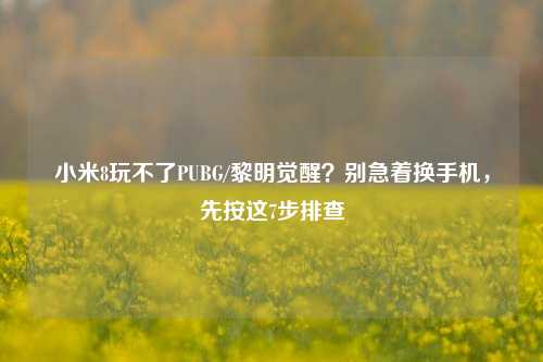 小米8玩不了PUBG/黎明觉醒？别急着换手机，先按这7步排查