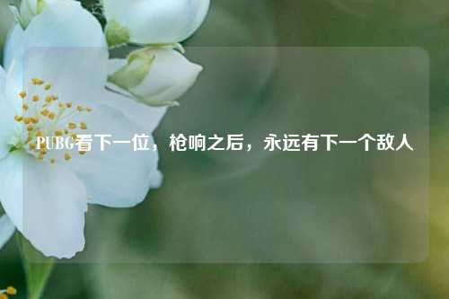 PUBG看下一位，枪响之后，永远有下一个敌人