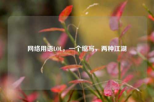 网络用语LOL，一个缩写，两种江湖