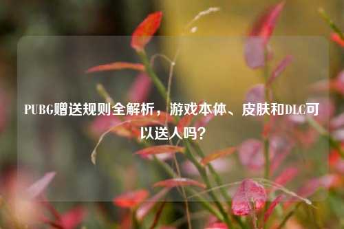 PUBG赠送规则全解析,游戏本体、皮肤和DLC可以送人吗?