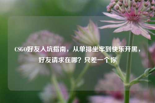 CSGO好友入坑指南,从单排坐牢到快乐开黑,好友请求在哪?只差一个你