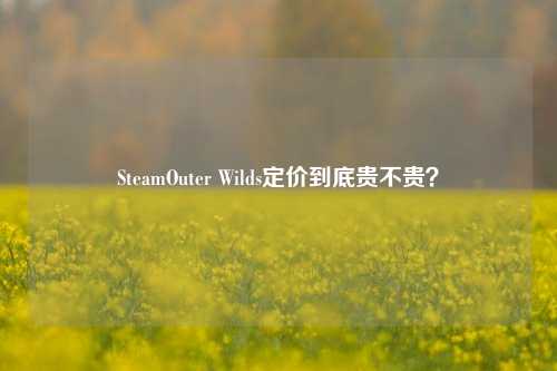 SteamOuter Wilds定价到底贵不贵？