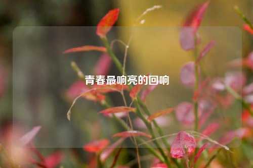 青春最响亮的回响