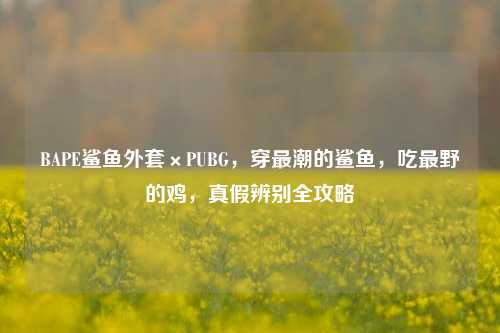 BAPE鲨鱼外套×PUBG，穿最潮的鲨鱼，吃最野的鸡，真假辨别全攻略