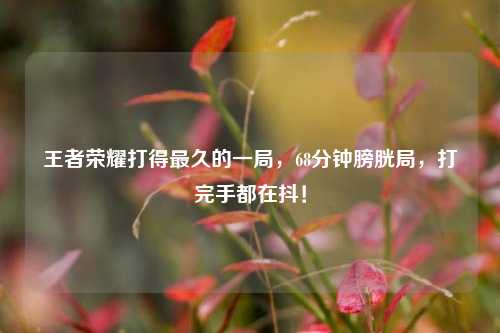 王者荣耀打得最久的一局，68分钟膀胱局，打完手都在抖！