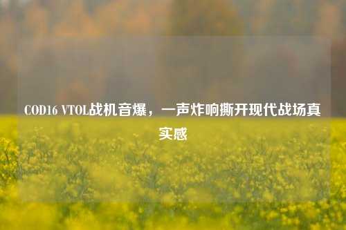 COD16 VTOL战机音爆，一声炸响撕开现代战场真实感