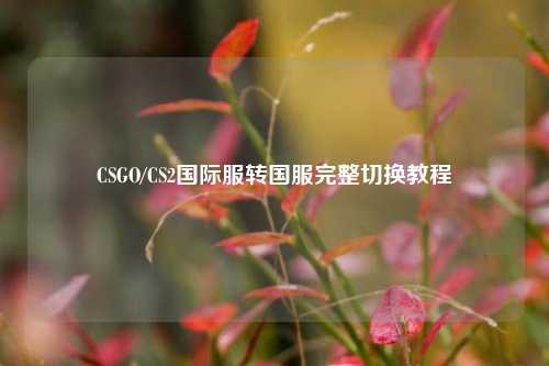 CSGO/CS2国际服转国服完整切换教程