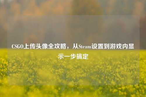 CSGO上传头像全攻略，从Steam设置到游戏内显示一步搞定