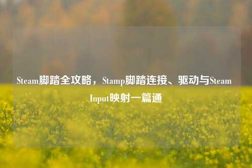 Steam脚踏全攻略，Stamp脚踏连接、驱动与Steam Input映射一篇通
