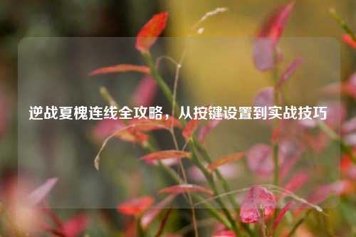逆战夏槐连线全攻略，从按键设置到实战技巧