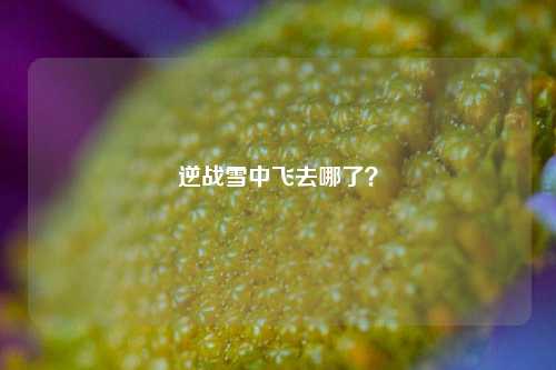 逆战雪中飞去哪了？