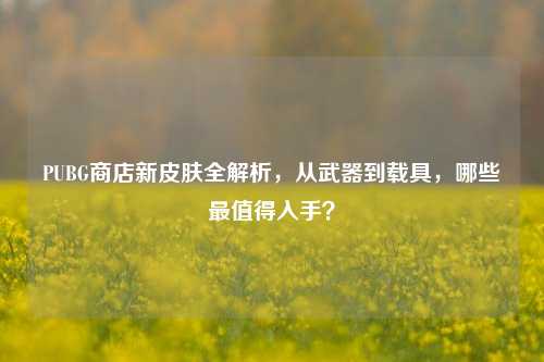PUBG商店新皮肤全解析，从武器到载具，哪些最值得入手？