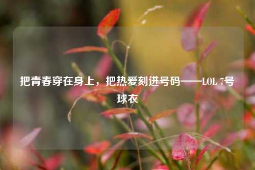 把青春穿在身上，把热爱刻进号码——LOL 7号球衣