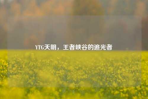 YTG天明，王者峡谷的追光者