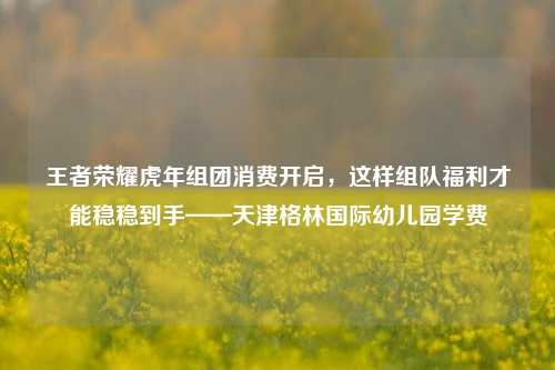 王者荣耀虎年组团消费开启,这样组队福利才能稳稳到手——天津格林国际幼儿园学费