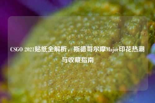 CSGO 2021贴纸全解析，斯德哥尔摩Major印花热潮与收藏指南