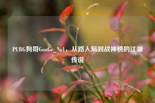 PUBG狗哥GouGe_No1，从路人局到战神榜的江湖传说