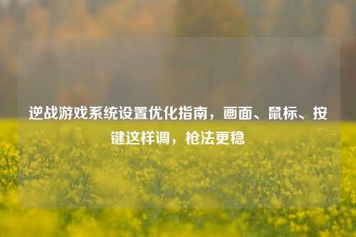 逆战游戏系统设置优化指南，画面、鼠标、按键这样调，枪法更稳