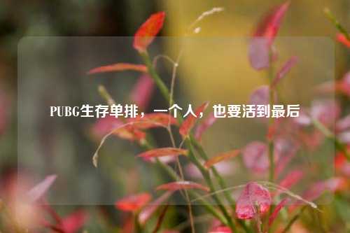 PUBG生存单排，一个人，也要活到最后