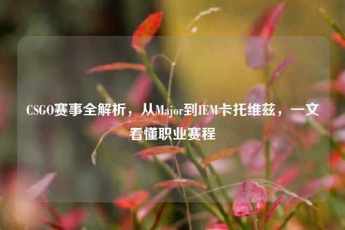 CSGO赛事全解析，从Major到IEM卡托维兹，一文看懂职业赛程