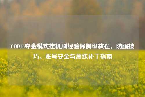 COD16夺金模式挂机刷经验保姆级教程,防踢技巧、账号安全与离线补丁指南