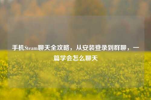 手机Steam聊天全攻略，从安装登录到群聊，一篇学会怎么聊天
