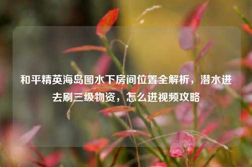 和平精英海岛图水下房间位置全解析，潜水进去刷三级物资，怎么进视频攻略