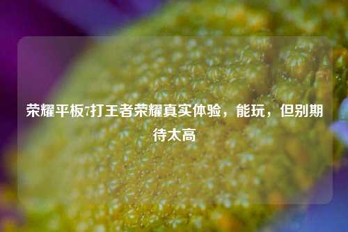 荣耀平板7打王者荣耀真实体验，能玩，但别期待太高