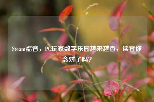 Steam福音，PC玩家数字乐园越来越香，读音你念对了吗？