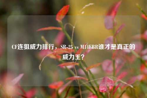 CF连狙威力排行，SR-25 vs M14EBR谁才是真正的威力王？