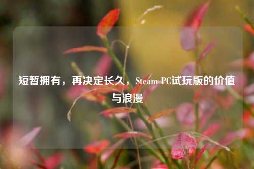 短暂拥有,再决定长久,Steam PC试玩版的价值与浪漫