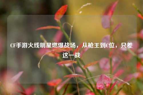CF手游火线明星燃爆战场，从枪王到C位，只差这一战