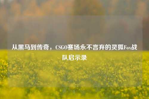 从黑马到传奇，CSGO赛场永不言弃的灵狐Fox战队启示录