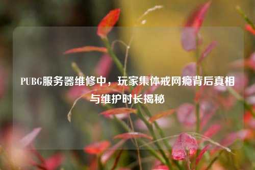 PUBG服务器维修中，玩家集体戒网瘾背后真相与维护时长揭秘